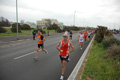 pino_ro__0284