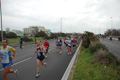 pino_ro__0285