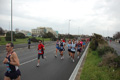 pino_ro__0286