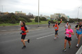 pino_ro__0290
