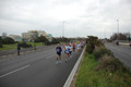 pino_ro__0291
