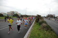pino_ro__0298