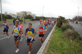 pino_ro__0301