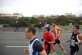 pino_ro__0308