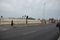 pino_ro__0311