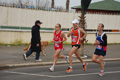 pino_ro__0315