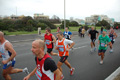 pino_ro__0324
