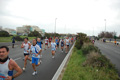 pino_ro__0325