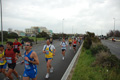 pino_ro__0329