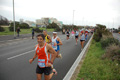 pino_ro__0333