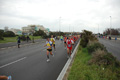 pino_ro__0336