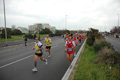 pino_ro__0337