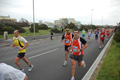 pino_ro__0339