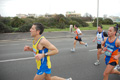 pino_ro__0340