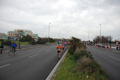 pino_ro__0355