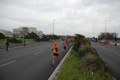pino_ro__0356