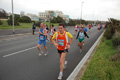 pino_ro__0366
