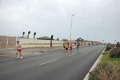 pino_ro__0385