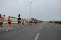pino_ro__0398