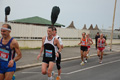 pino_ro__0405