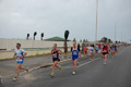pino_ro__0414