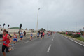 pino_ro__0425