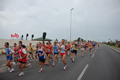 pino_ro__0438