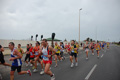pino_ro__0439