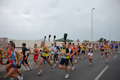 pino_ro__0440