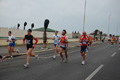 pino_ro__0452