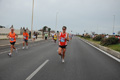 pino_ro__0454
