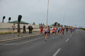 pino_ro__0458