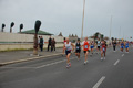 pino_ro__0459