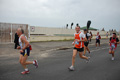 pino_ro__0462