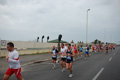 pino_ro__0463