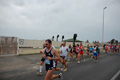 pino_ro__0464