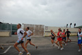 pino_ro__0466