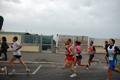 pino_ro__0467