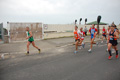 pino_ro__0469