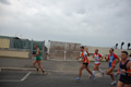 pino_ro__0470