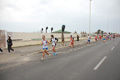 pino_ro__0475