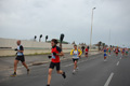 pino_ro__0479