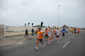 pino_ro__0490