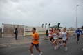 pino_ro__0491