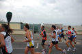 pino_ro__0493