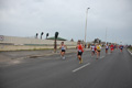 pino_ro__0499