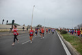 pino_ro__0505