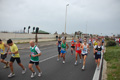 pino_ro__0514