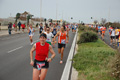 pino_ro__0533