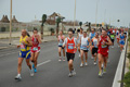 pino_ro__0558
